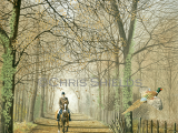 Autumn Ride CG001
